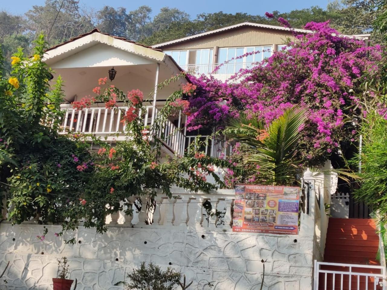 Whitehouse Homestay By Oxystays Hospitality Alibag Exterior photo